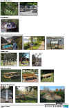 Potential Amenities